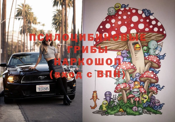 герыч Вяземский
