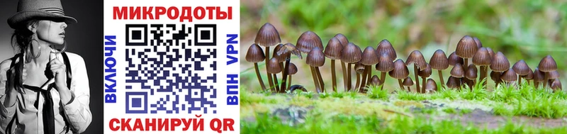 Галлюциногенные грибы MAGIC MUSHROOMS  Киреевск 